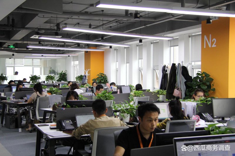 婚姻调查：常见误区与实用建议