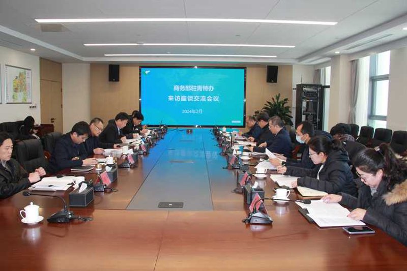 商务调查服务：挖掘青岛市场的秘密武器