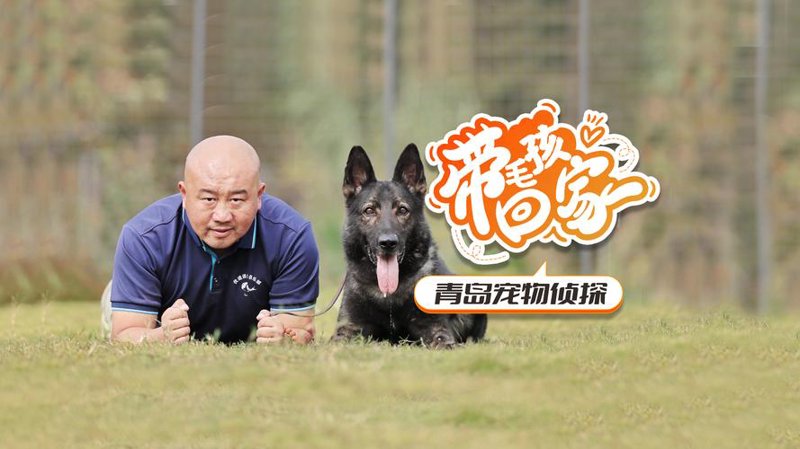 全国寻人：快速高效的技巧